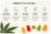 Picture of CBD GUMMIES | 1000 MG
