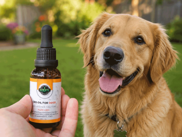 Picture for category CBD FOR PETS